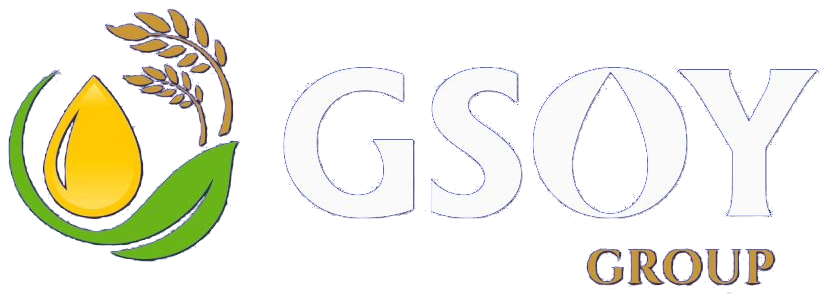 Gsoy Group